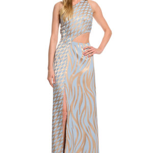 Zebra glow maxi dress